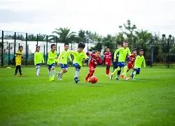 熱刺教頭賦,能隊長及副,隊長重塑球,万博manbetx体育平台,万博体育官网,万博体育app下载,ManBetX,SPORTS